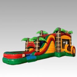 Tropical Safari Splash (Wet or Dry Slide)