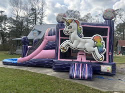 IMG 8927 1768511760 Unicorn Combo