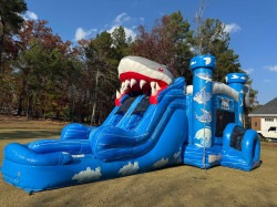 IMG 8984 1769649185 Shark Attack (Wet Or Dry)