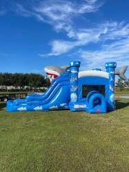 IMG 9013 1769649185 Shark Attack (Wet Or Dry)