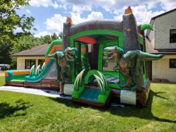 IMG 9441 1770428712 Dino Dive (Water or Dry Slide)