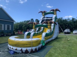 IMG 0089 1773956643 20ft Desert Oasis