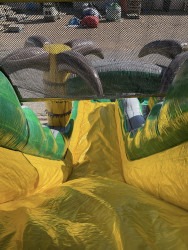 20ft Desert Oasis IMG 0112 1773977978 20ft Desert Oasis