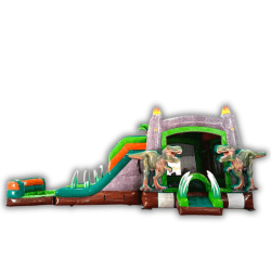 Dino Dive (Water or Dry Slide)